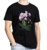 Storczyk falenopsis — koszulka klasyczna