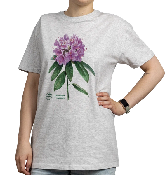 Różanecznik katawbijski — koszulka klasyczna