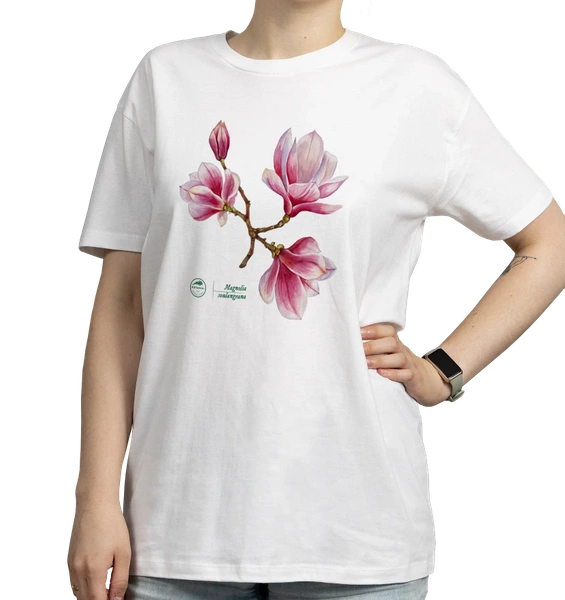 Magnolia pośrednia — koszulka klasyczna
