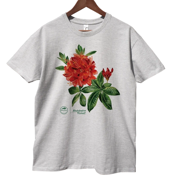 koszulka klasyczna, unisex, z motywem roślinnym — różanecznik 'Fireball'