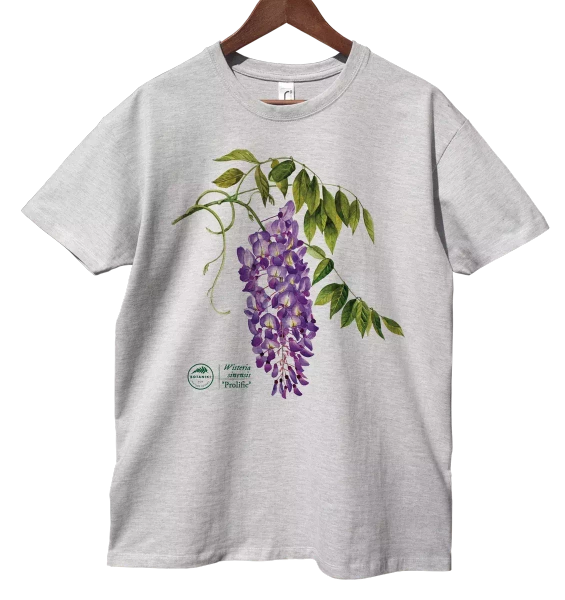 koszulka z motywem roślinnym dla dziecka — glicynia chińska 'Prolific'